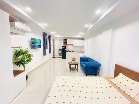 Studio serviced apartment in Thao Dien for rent 