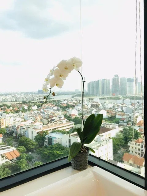 APARTMENT FOR RENT IN THE ASCENT THAO DIEN - 11