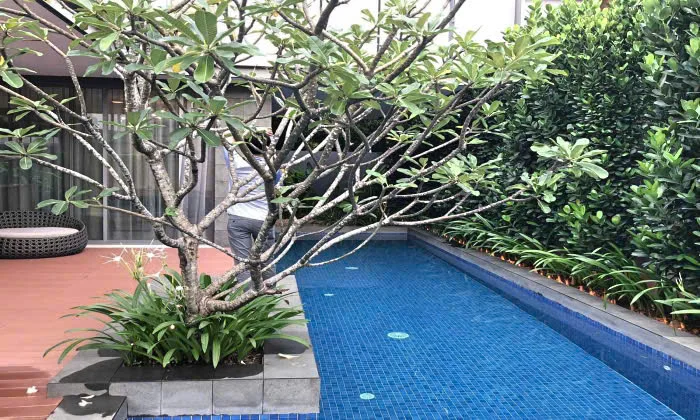 Luxurious 4-Bedroom Villa for Rent in Holm Villas, Thảo Điền - 3