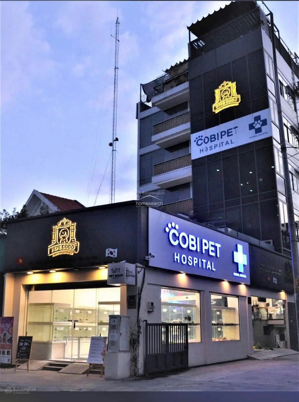Office Building for lease in Thao Dien in An Khanh - Photo 1