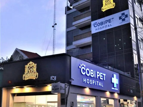 Office Building for lease in Thao Dien