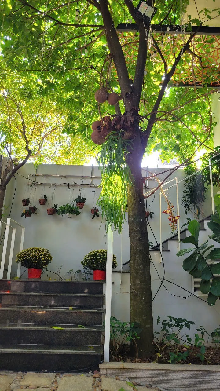 Villa for rent in Thao Dien in An Khanh - Photo 3