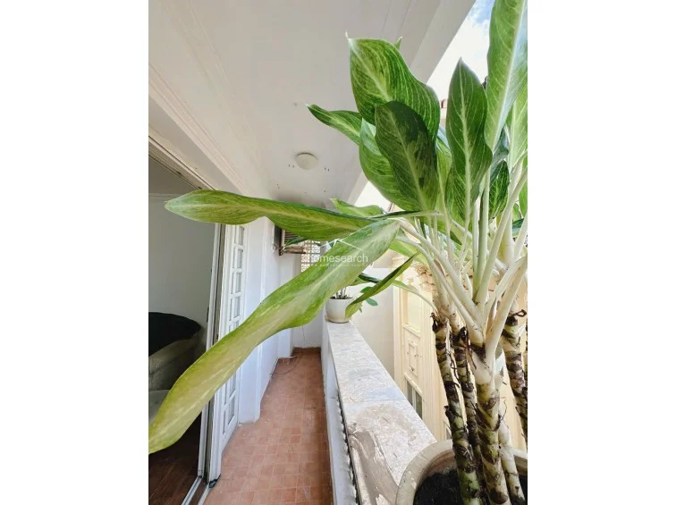 SERVICED APARTMENT FOR RENT IN THAO DIEN - 9