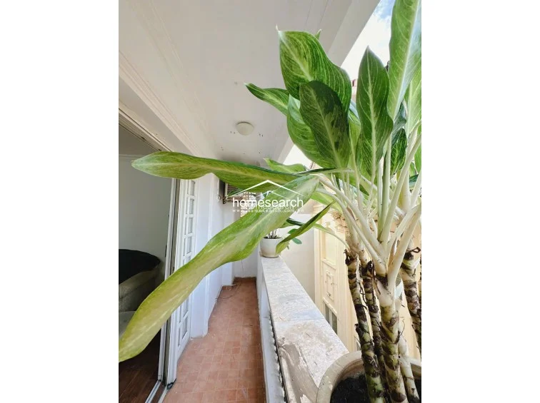 SERVICED APARTMENT FOR RENT IN THAO DIEN - 21