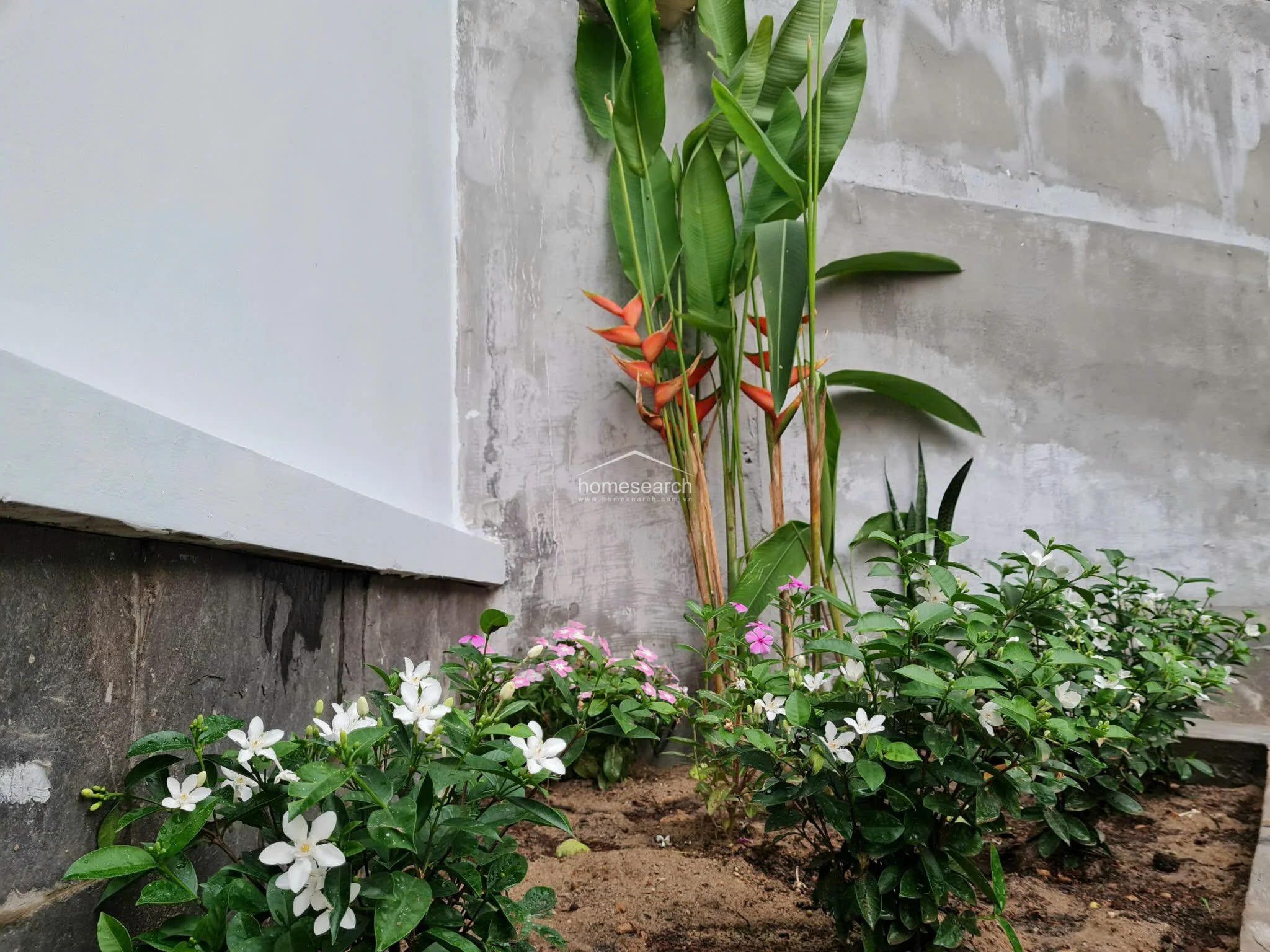 5-Bedroom Villa with Private Pool for Rent in Thao Dien – 400m² – $3,500/month - 6