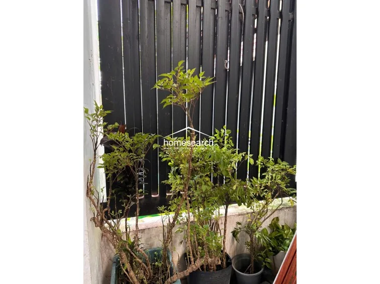 HOUSE FOR RENT IN COMPOUND - THAO DIEN - 5