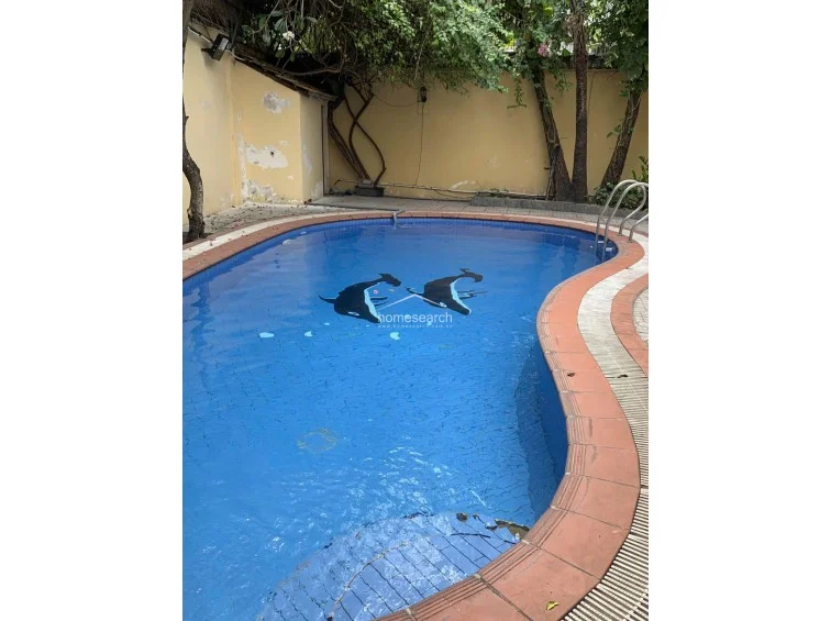 This image focuses on the private swimming pool, which is finished with blue mosaic tiles and features two large dolphin murals at the base. The surrounding area is enclosed by a high perimeter wall with mature trees, providing a secluded atmosphere, though the wall finish shows signs of weathering and requires maintenance.