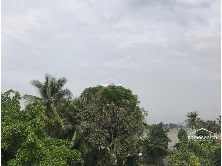 This exterior view captures a lush, green canopy of palm and deciduous trees, suggesting a peaceful, nature-oriented setting for the property. The elevated vantage point provides a scenic, private outlook over the surrounding foliage and distant water, enhancing the home's appeal.