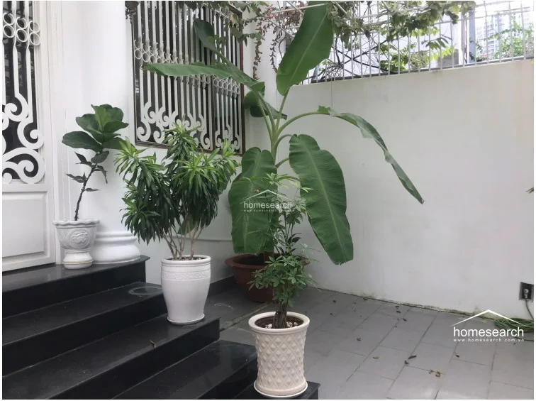This outdoor entrance or terrace area features dark stone steps leading to a white decorative door, accented by an ornate metal security gate. The space is decorated with several potted plants, including a large banana tree, adding a touch of greenery to the exterior. The area is well-maintained, blending functional architectural elements with a welcoming, natural aesthetic.