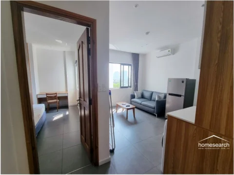 Modern 1-Bedroom Apartment in Thao Dien