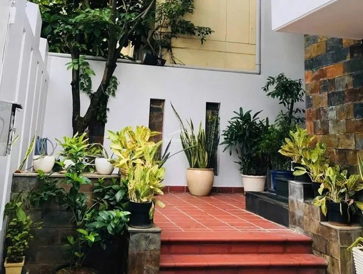 Villa for rent in Thao Dien - Dist.2 - 1