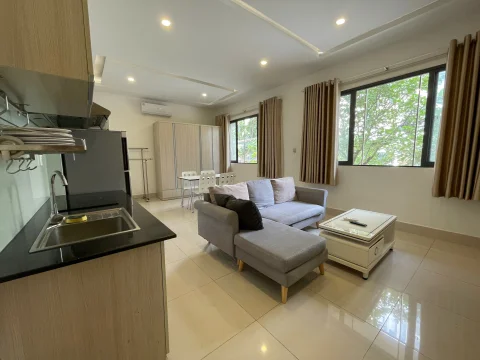 One bedroom serviced apartment for rent in Thao Dien