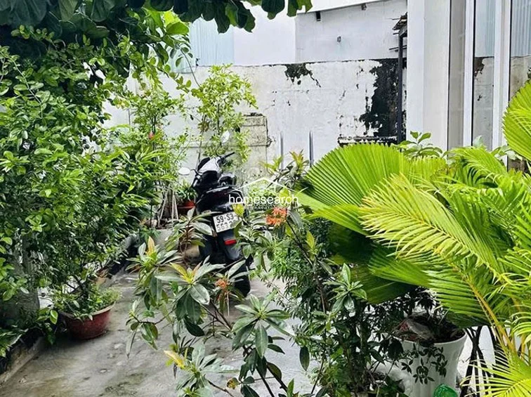 This side yard or secondary outdoor space is densely landscaped with various potted plants, including palm varieties, creating a private garden feel. The perimeter wall shows signs of significant weathering and peeling paint, indicating a need for exterior maintenance.