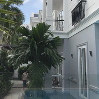 Villa 5 Phòng ngủ 6 Phòng tắm 500 m² tại P. An Khánh - Villa - An Khánh - Image 4 - Thumbnail - (5 bedrooms, 6 bathrooms, 500 sqm)