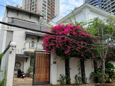 Villa 4 Phòng ngủ 4 Phòng tắm 300 m² tại P. An Khánh